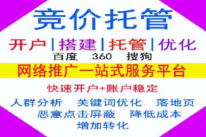 竞价托管实战案例：优化广告投放策略